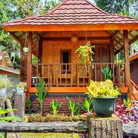 Pondok Rinjani Bungalow Tetebatu Zewnętrze zdjęcie