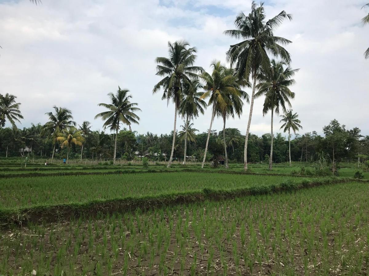 Pondok Rinjani Bungalow Tetebatu Zewnętrze zdjęcie