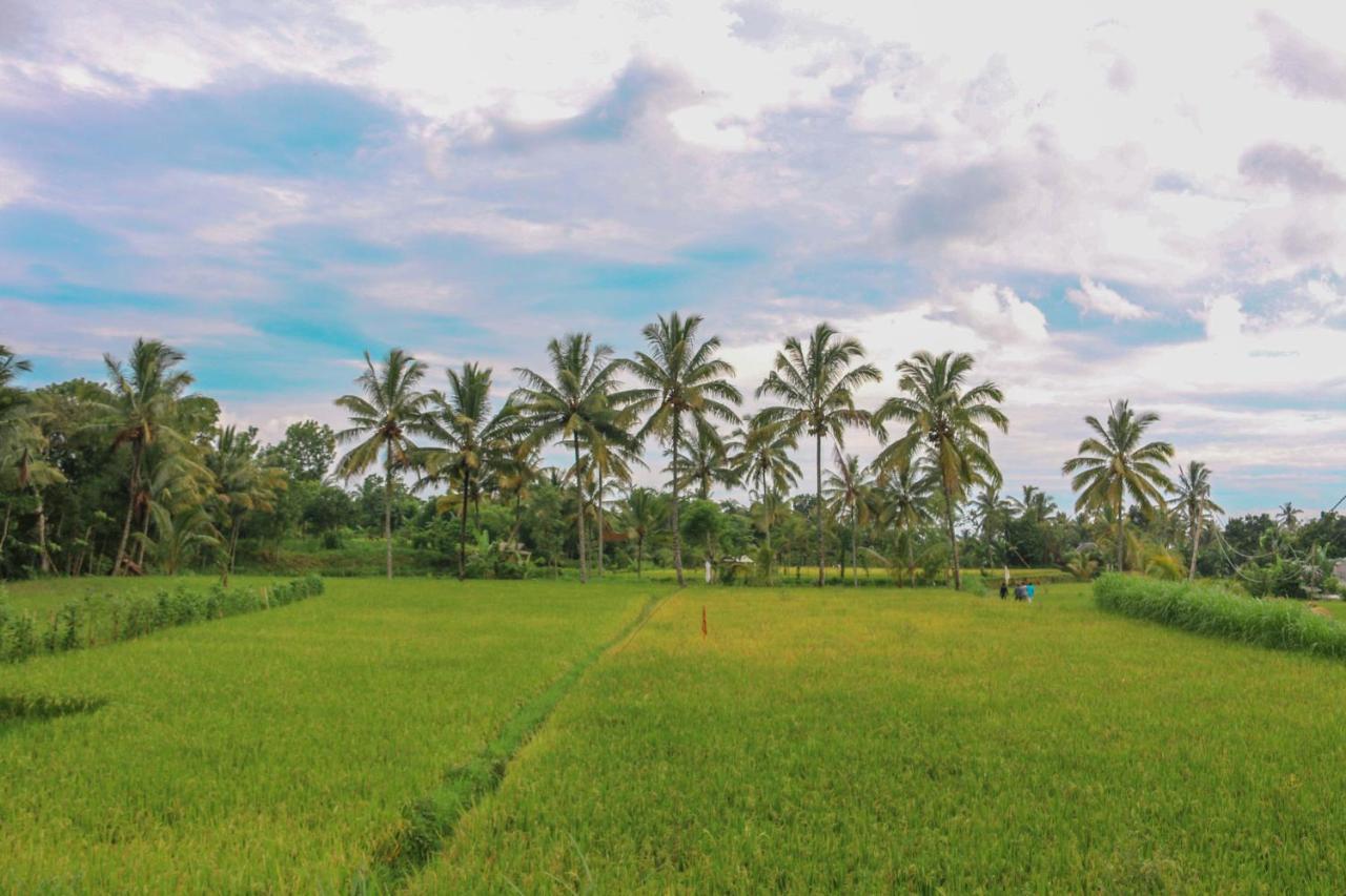 Pondok Rinjani Bungalow Tetebatu Zewnętrze zdjęcie